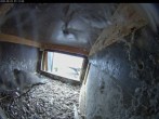 Archiv Foto Webcam Dom in Aachen: Falken im Westturm 06:00