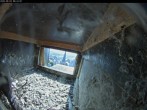 Archiv Foto Webcam Dom in Aachen: Falken im Westturm 07:00