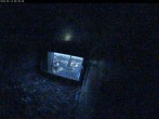 Archiv Foto Webcam Dom in Aachen: Falken im Westturm 05:00