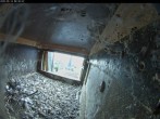 Archiv Foto Webcam Dom in Aachen: Falken im Westturm 07:00