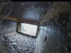 Archiv Foto Webcam Dom in Aachen: Falken im Westturm 09:00