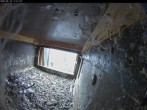 Archiv Foto Webcam Dom in Aachen: Falken im Westturm 10:00