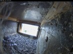 Archiv Foto Webcam Dom in Aachen: Falken im Westturm 11:00