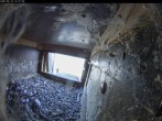 Archiv Foto Webcam Dom in Aachen: Falken im Westturm 13:00