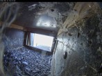Archiv Foto Webcam Dom in Aachen: Falken im Westturm 15:00