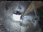 Archived image Webcam Cathedral in Aachen - Hawks View 09:00