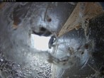 Archived image Webcam Cathedral in Aachen - Hawks View 11:00
