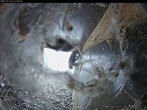 Archived image Webcam Cathedral in Aachen - Hawks View 13:00