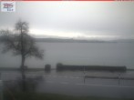 Archiv Foto Webcam in Berlingen am Untersee 11:00