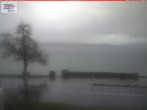 Archiv Foto Webcam in Berlingen am Untersee 13:00