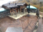 Archiv Foto Webcam Obertauern: Edelweissalm 08:00