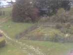 Archiv Foto Webcam Hotel Angerhof in Sankt Englmar (Niederbayern) 08:00