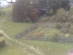 Archiv Foto Webcam Hotel Angerhof in Sankt Englmar (Niederbayern) 09:00