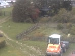 Archiv Foto Webcam Hotel Angerhof in Sankt Englmar (Niederbayern) 11:00