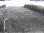 Archiv Foto Webcam Gemeindealpe Mitterbach Birkihang 03:00