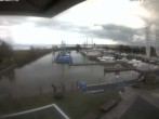 Archived image Webcam Marina Rheinhof Altenrhein - Lake Constance 05:00