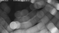 Archived image Webcam View Canyon Bletterbach 23:00