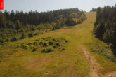 Archiv Foto Webcam Tanvaldsky Spicak - Slalomák 11:00