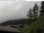 Archived image Webcam Fäld - Imfeld 05:00