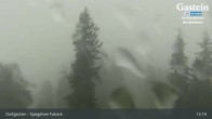 Archiv Foto Webcam Dorfgastein Spiegelsee 12:00