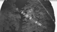 Archiv Foto Webcam Nordisches Langlaufzentrum Breitenberg - Kaiseralm 23:00
