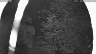 Archived image Webcam Cross-Country Skiing Breitenberg - Kaiseralm 23:00