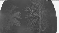 Archived image Webcam Cross-Country Skiing Breitenberg - Kaiseralm 23:00