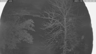 Archived image Webcam Cross-Country Skiing Breitenberg - Kaiseralm 05:00