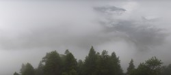 Archiv Foto Webcam Rheinschlucht 07:00