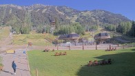 Archiv Foto Webcam Sweetwater Teewinot Talstation Jackson Hole 07:00