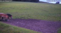 Archiv Foto Webcam Wildewiese: Flutlichthang Sorpe-Abfahrt 15:00
