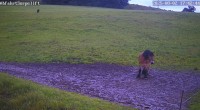 Archiv Foto Webcam Wildewiese: Flutlichthang Sorpe-Abfahrt 17:00