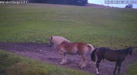 Archiv Foto Webcam Wildewiese: Flutlichthang Sorpe-Abfahrt 10:00