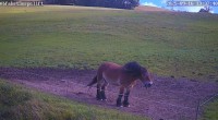 Archiv Foto Webcam Wildewiese: Flutlichthang Sorpe-Abfahrt 13:00