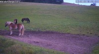Archiv Foto Webcam Wildewiese: Flutlichthang Sorpe-Abfahrt 15:00