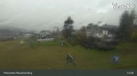 Archiv Foto Webcam Livecam Postwiese Neuastenberg 12:00