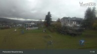 Archiv Foto Webcam Livecam Postwiese Neuastenberg 10:00
