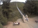 Archived image Webcam Geierlay Suspension Bridge near Mörsdorf 09:00