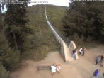 Archived image Webcam Geierlay Suspension Bridge near Mörsdorf 13:00