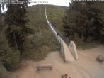Archived image Webcam Geierlay Suspension Bridge near Mörsdorf 15:00