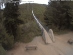 Archived image Webcam Geierlay Suspension Bridge near Mörsdorf 17:00