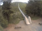 Archived image Webcam Geierlay Suspension Bridge near Mörsdorf 08:00
