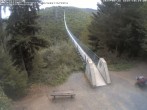Archived image Webcam Geierlay Suspension Bridge near Mörsdorf 09:00