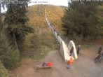 Archived image Webcam Geierlay Suspension Bridge near Mörsdorf 11:00