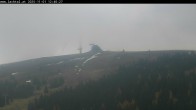 Archiv Foto Webcam Lachtal - Schönberg Schaukel 11:00