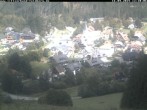 Archiv Foto Webcam Altglashütten - Schwarzenbachlift 11:00
