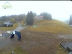 Archiv Foto Webcam Feldberg: Grafenmattlift 11:00