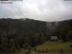 Archiv Foto Webcam Feldberg-Seebuck Raimartihof 06:00