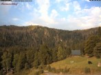 Archived image Webcam Feldberg - Hotel Raimartihof 07:00
