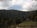 Archived image Webcam Feldberg - Hotel Raimartihof 11:00
